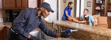 Best Pest Exclusion Services  in Petersburg, AK